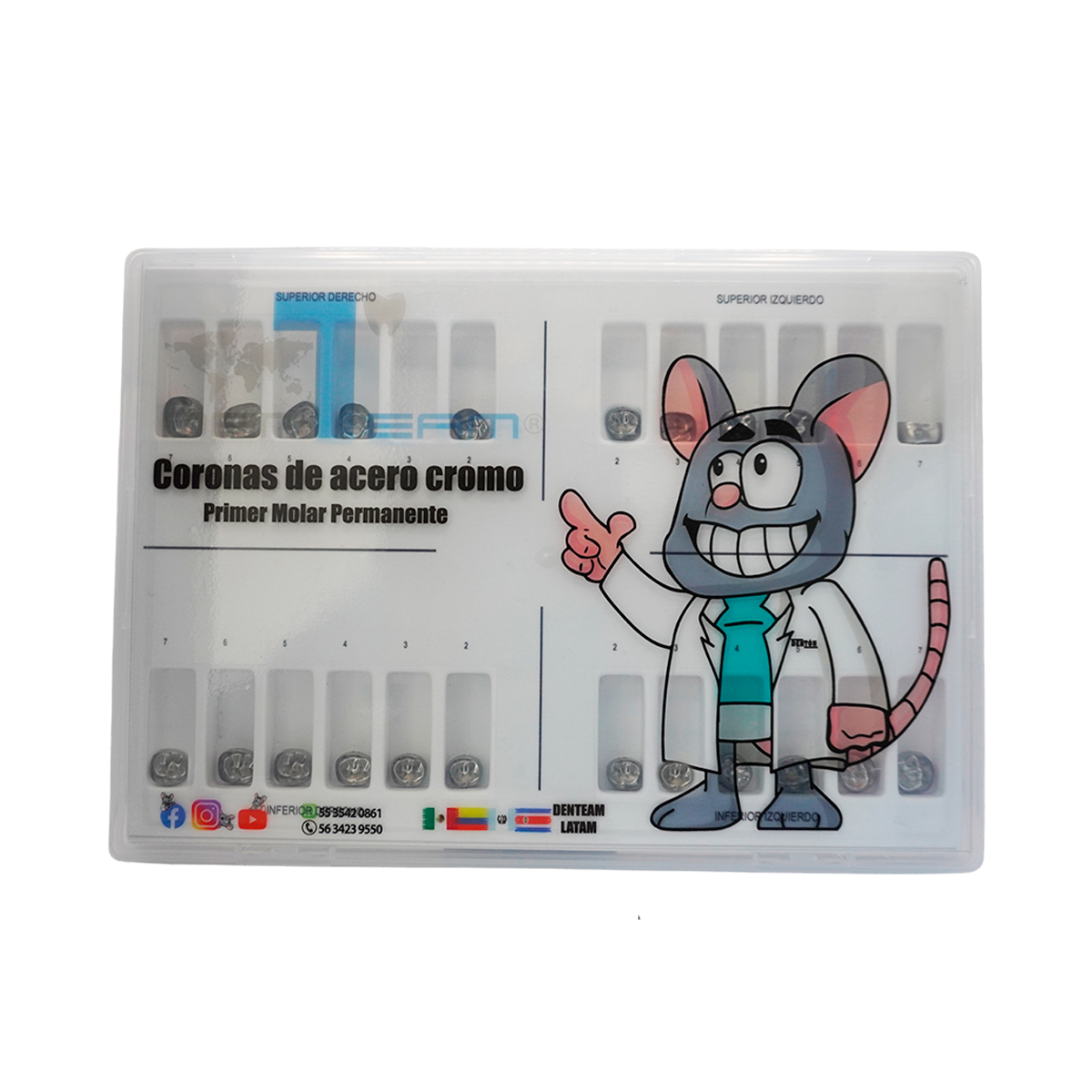 ESTUCHE PRIMER MOLAR PERMANENTE  72 PIEZAS