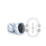 primer-molar-02-blanco